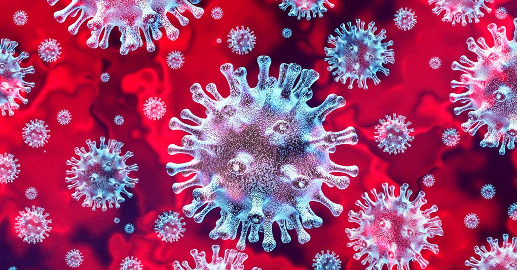 Coronavirus: i primi numeri di giornata (19 gennaio)